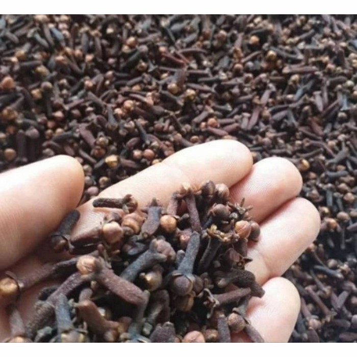 

Cengkeh Kering 50 Gram Cengkeh Asli Super cengkeh kering