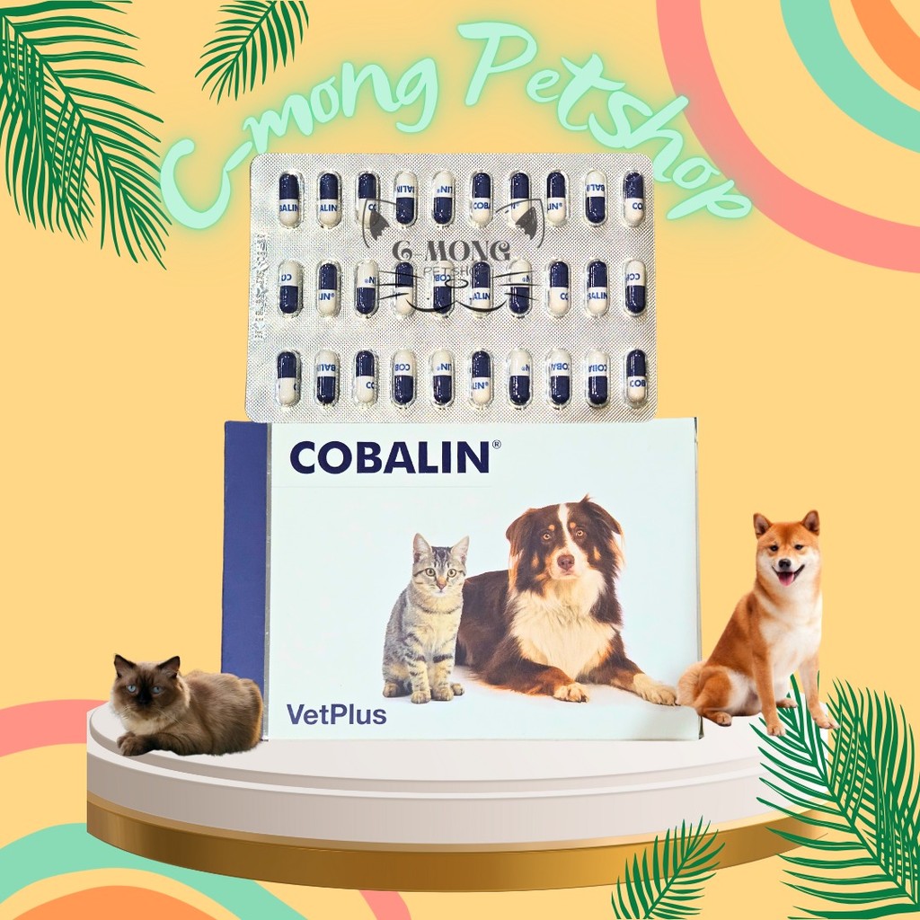 Cobalin VetPlus (1 Caps) Vitamin B12 & B9 For Cats Dogs Kucing Anjing