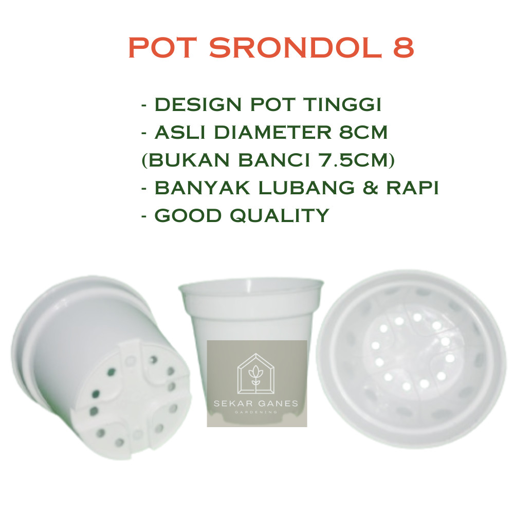 PAKET 5PCS Pot SRONDOL 8 cm PUTIH Pot Polos Basic Tinggi 8cm Bunga Tanaman Pot Kecil Kaktus Sekulen 