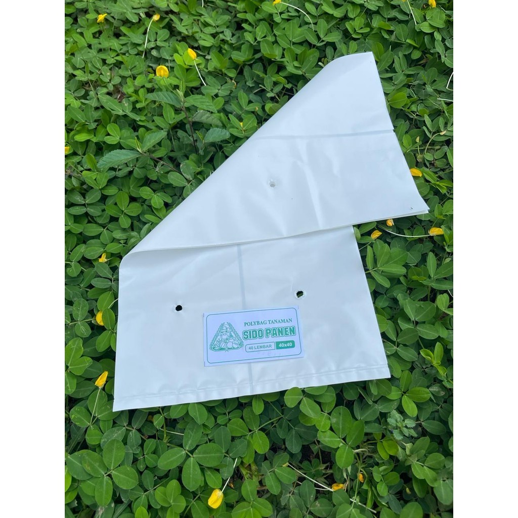 Alltechshop_ Polybag Putih 40 X 40 ( 40 Lembar )