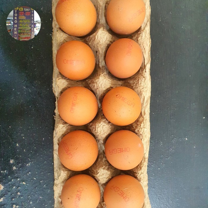 

Telur Ayam Negeri Òmega / Telor Ayam Negri Omega Grade A 10 Butir