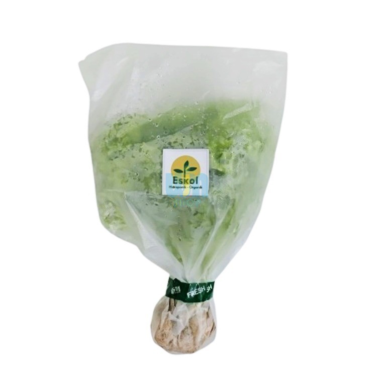 

Selada Keriting 100gr Selada Hidroponik