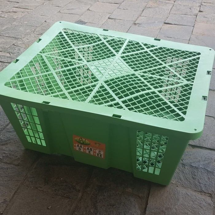 Keranjang Plastik Buah Persegi Bekas Packing Buah Buahan