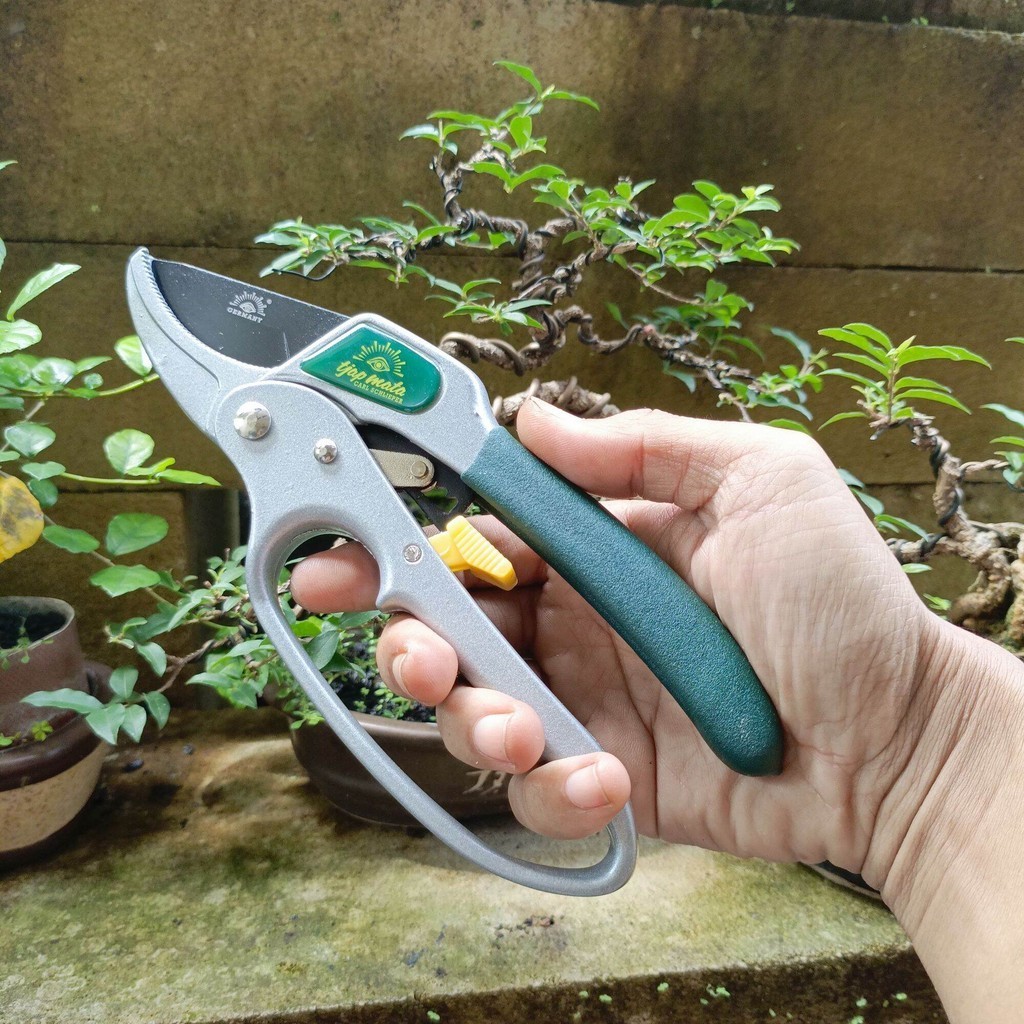 Gunting Dahan Bonsai TJAP MATA JLS-8001