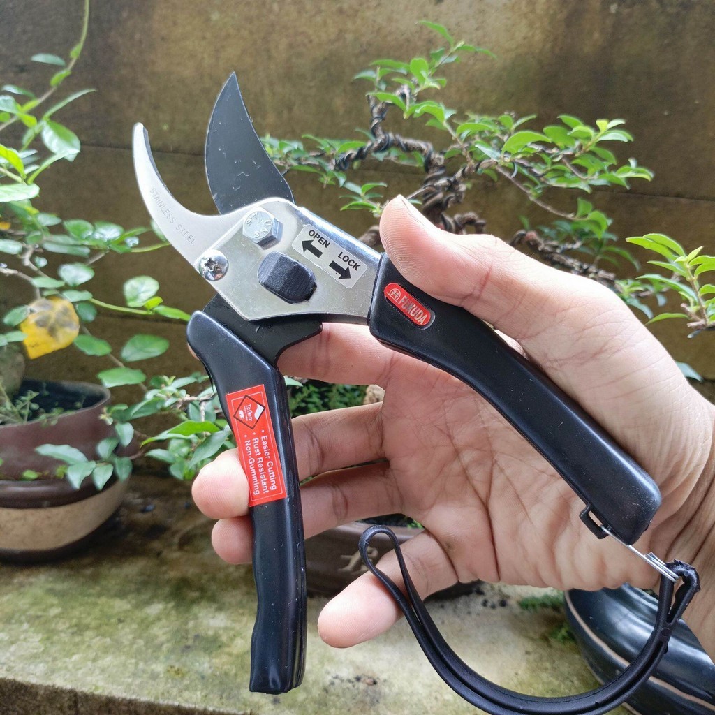 Gunting Dahan Bonsai FUKUDA ST-800 8" STAINLESS