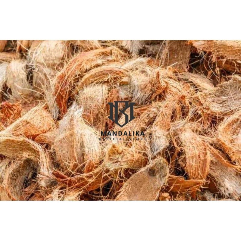 Tapas kelapa kupas sabut kelapa media tanam anggrek