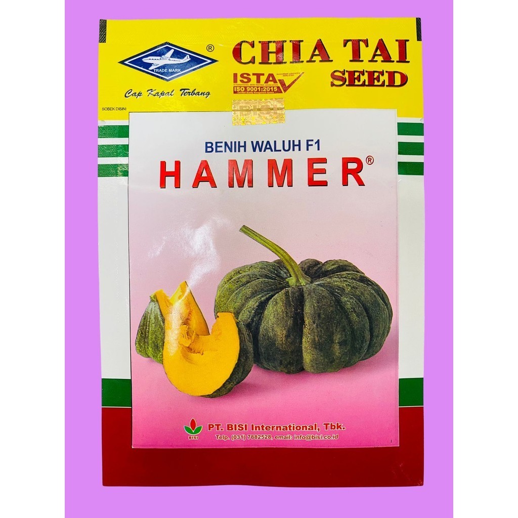Benih Waluh Hibrida HAMMER  F1