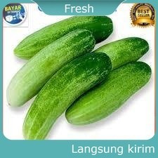 

Timun Lalap Kecil 500 Gram Sayur Mayur Buah Buahan Bersih Fresh