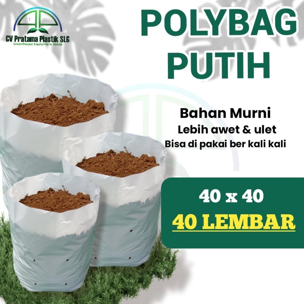 Polybag Putih 40 x 40 ( 40 Lembar )
