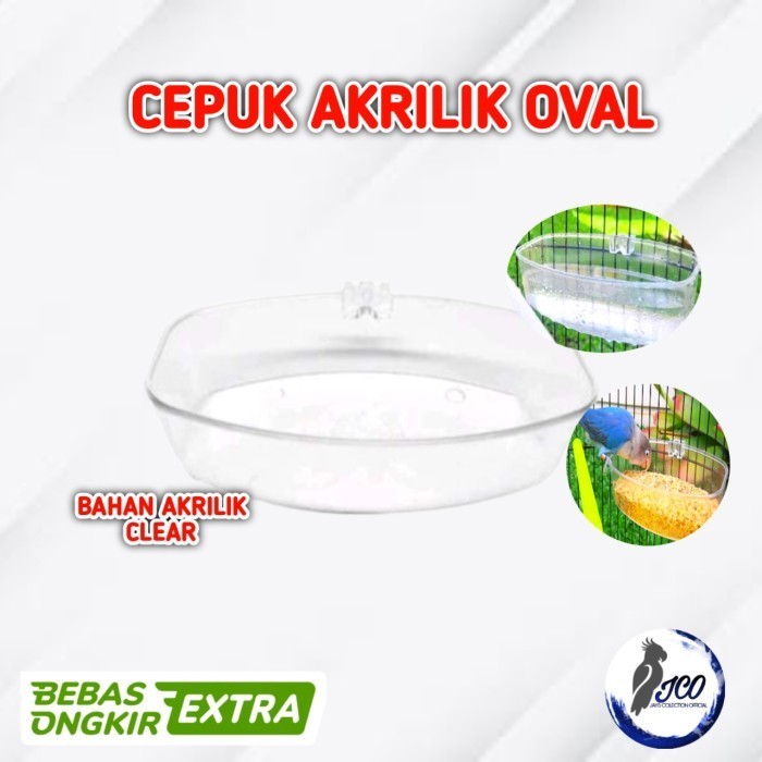 CEPUK WADAH MANDI BURUNG CPEPUK MANDI BURUNG CEPUK BURUNG