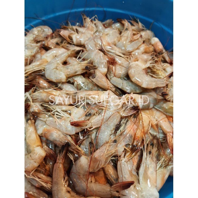 

udang peci 500 gram