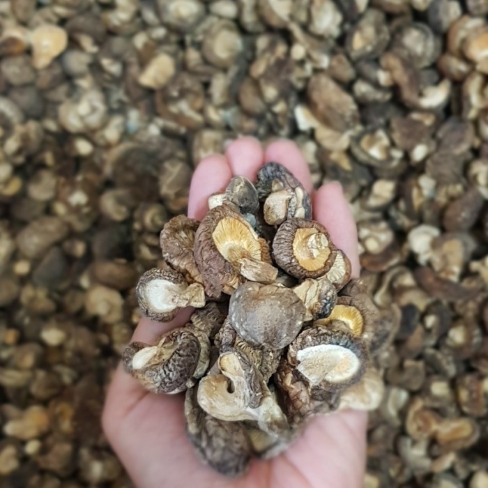 

jamur shitake kering 250gr/hioko size 1-2cm/hioko kecil/jamur kancing