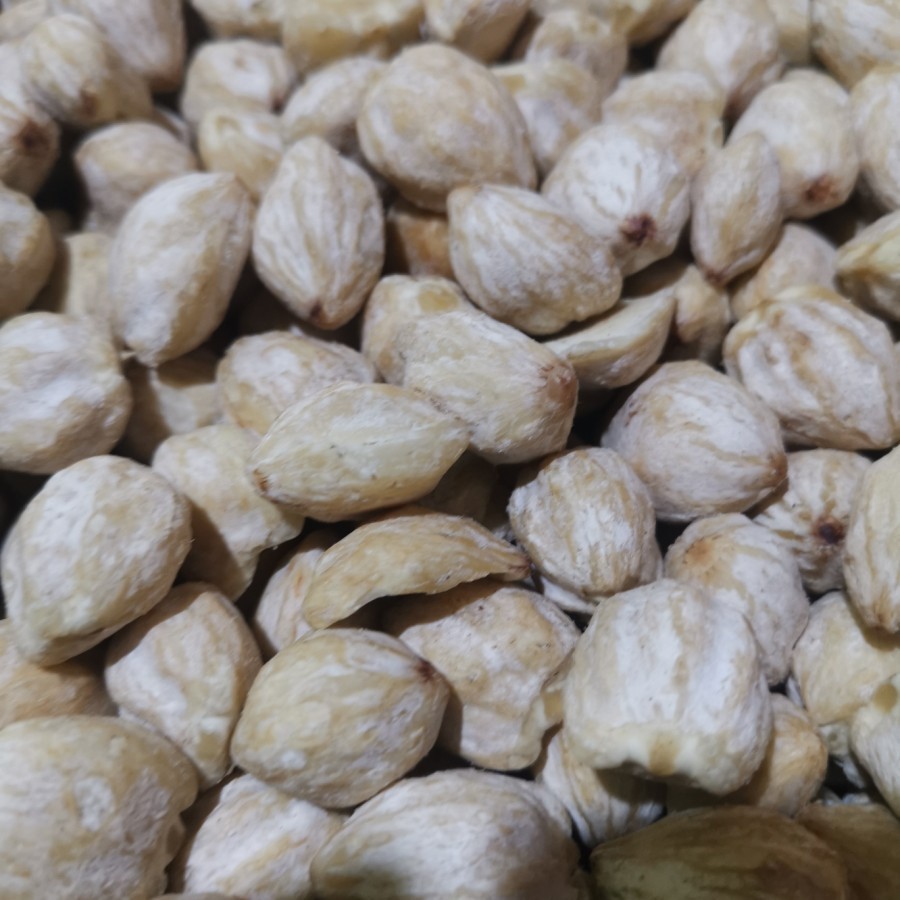 

KEMIRI KUPAS BULAT UTUH 1 KG