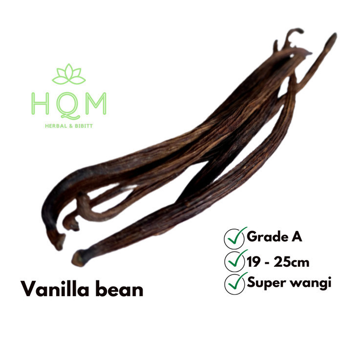 

Hafika Vanilla Bean Vanilli utuh per batang Stok Terbaru Biji Vanili Vanila