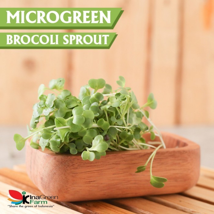 

Inagreen Farm Bandung Microgreen Organik Broccoli Sprout
