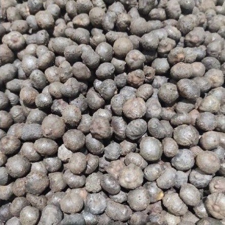 

BIBIT BULBIL KATAK PORANG ASLI DORMAN ISI 200-300/Kg