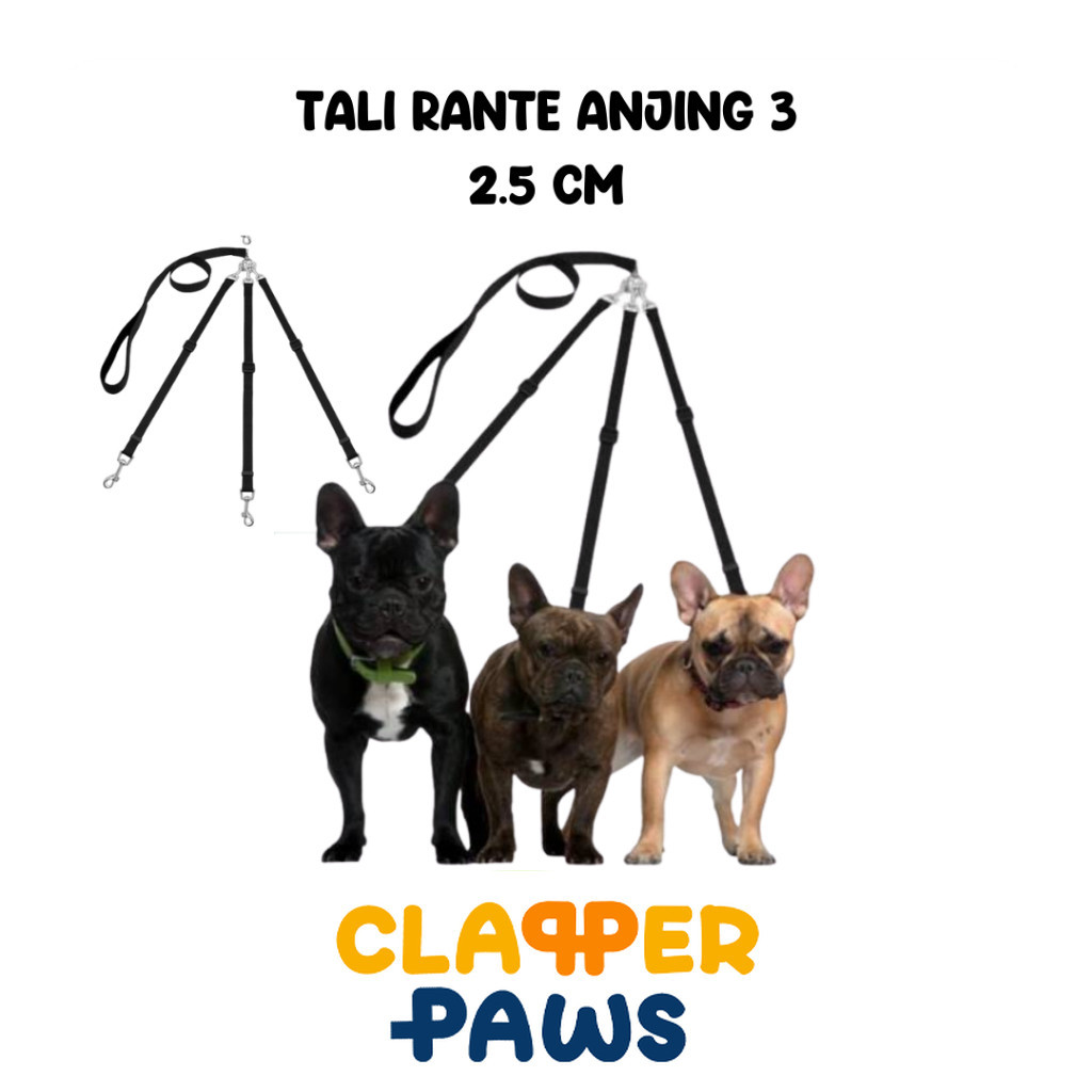 TALI RANTE ANJING 2,5CM RANTE ANJING TALI ANJING CABANG 3