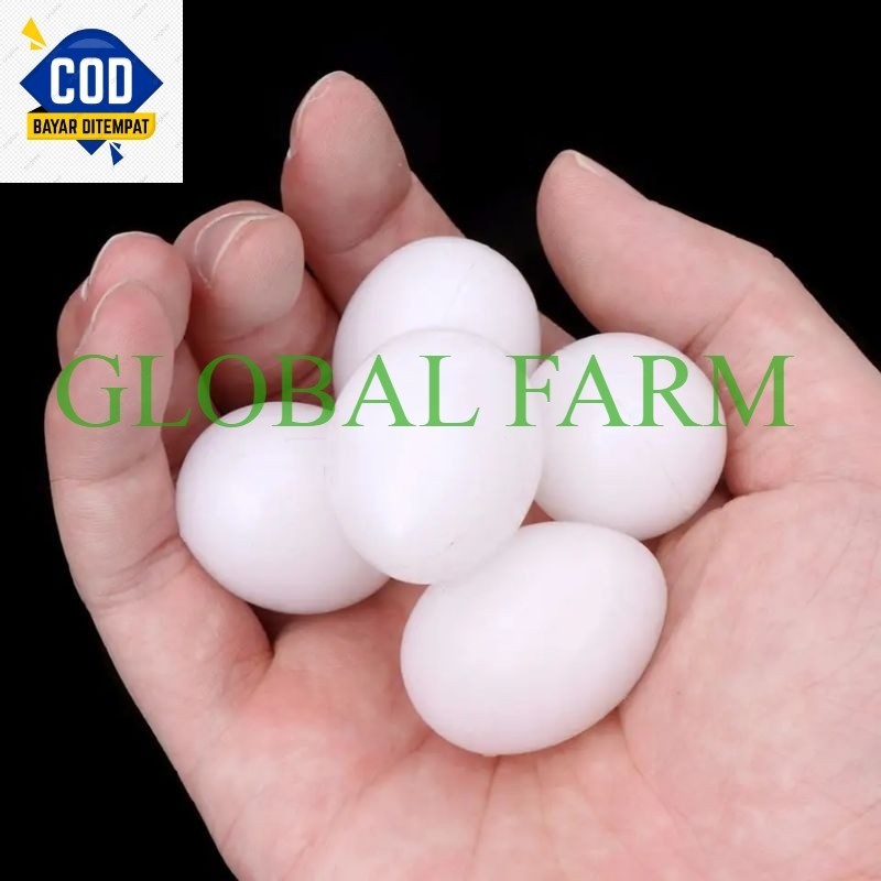 GBLFM MERPATI TELUR PLASTIK ISI PADAT BERAT SEPERTI TELUR ASLI BSR