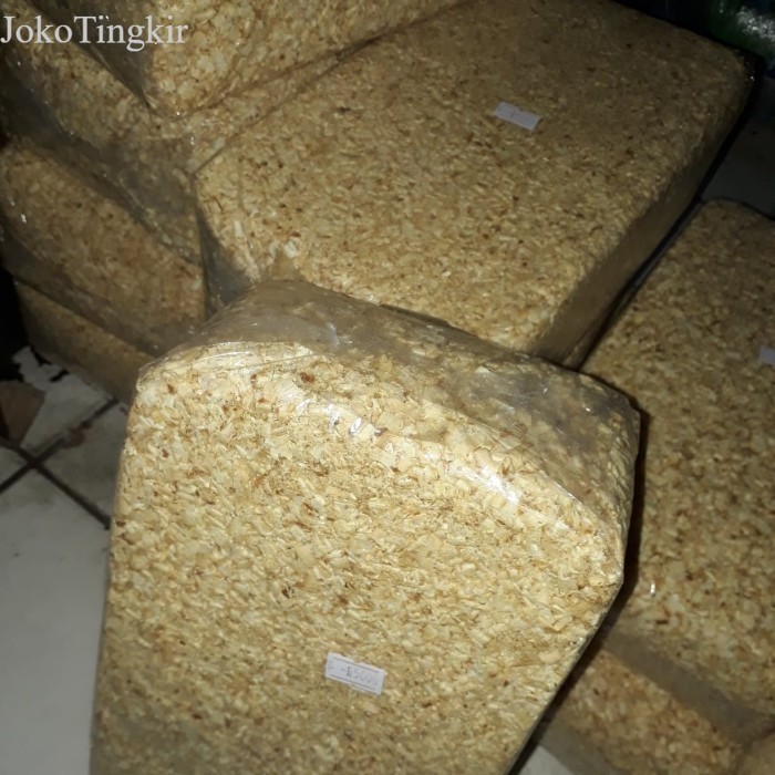 

serbuk kayu hamster murah