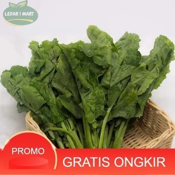 

Sayur Kailan Organik