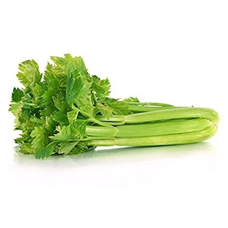 

Seledri Batang Besar / Celery Stick Inagreen Farm