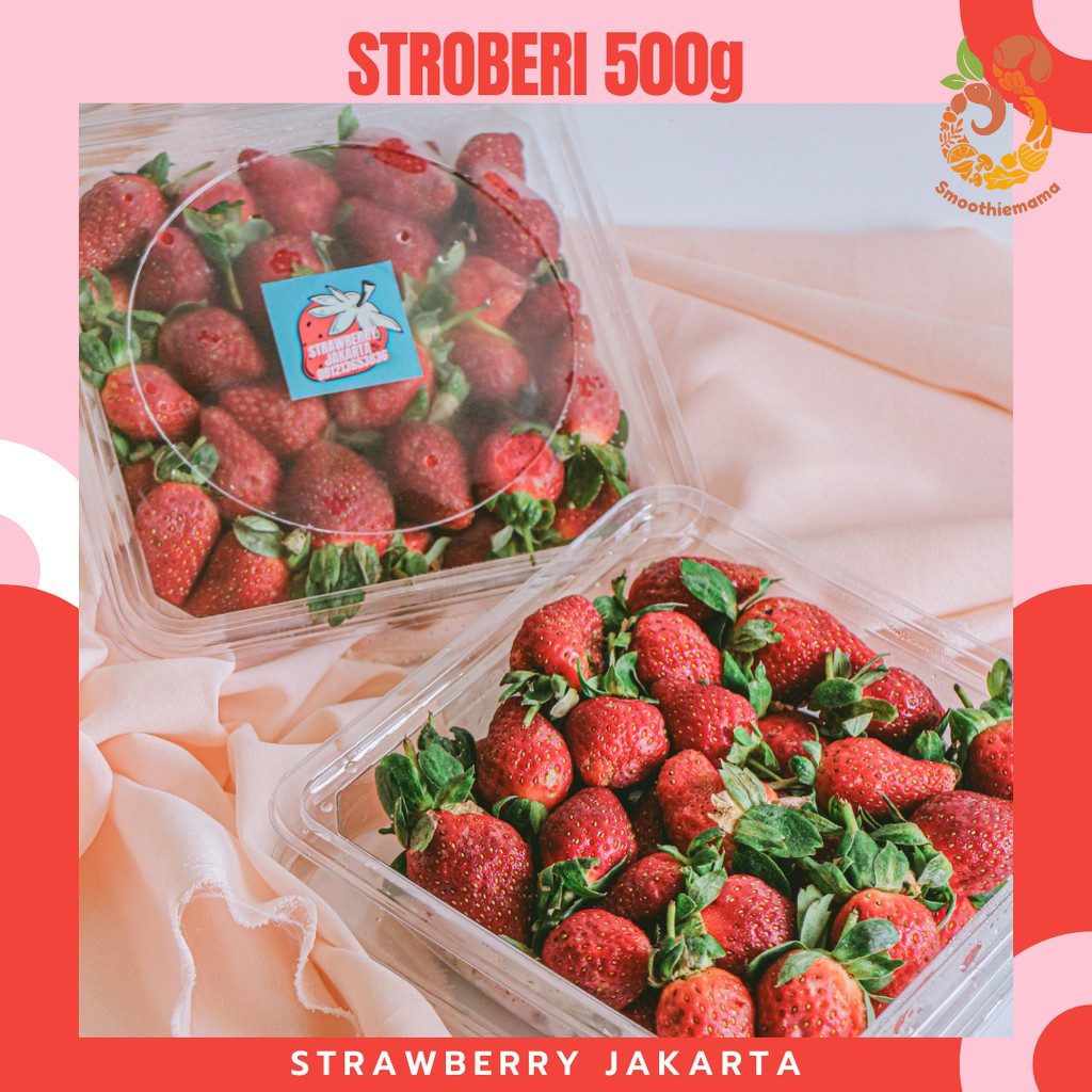 

Stroberi Fresh Strawberry Lokal Ciwidey Kualitas Premium Murah Bagus Sempurna Buah Stroberi 500g Segar