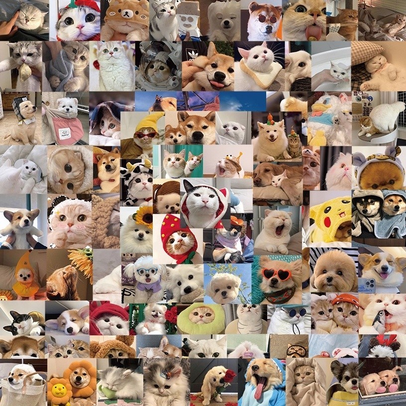 

PROMO25 Pcs Stiker Motif Kucing Dan Anjing Tahan Air Untuk Dekorasi notebook hello.nuza