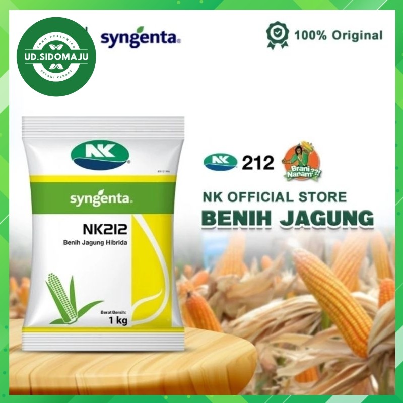 BENIH JAGUNG NK 212