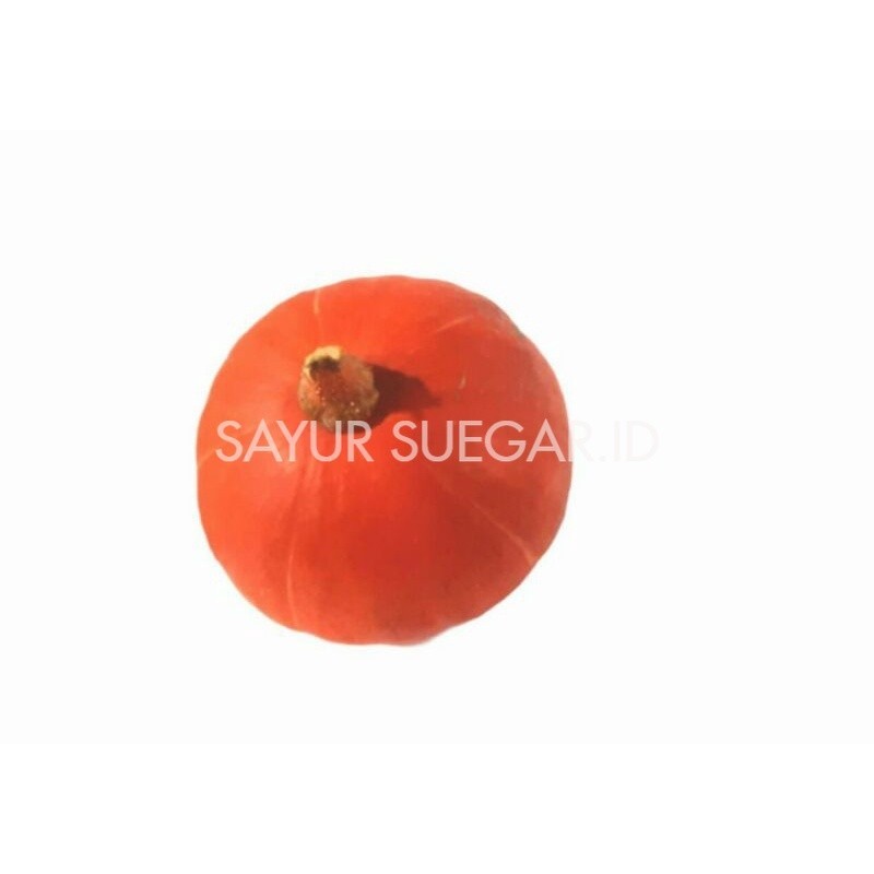 

kaboca orange 1 buah ( 800 - 1.2 kg )