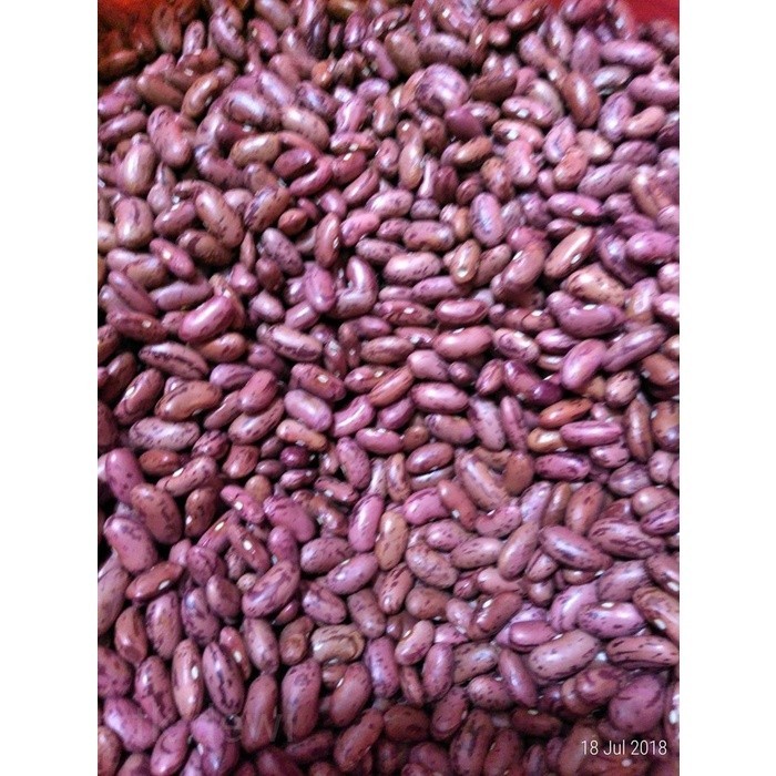 

Kacang Merah 1 kelogram