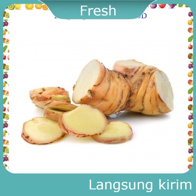 

Kencur 100 gram Sayur Mayur Bersih Fresh Souvenir Cuci Gudang Grosir Promo Cod Gratis Ongkir Oleh Oleh Murah Terlaris Kualitas Market