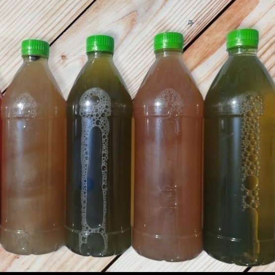 Sabun Mandi Cair Buah Manggis 1 Liter VCO Natural Antiseptic Herbal