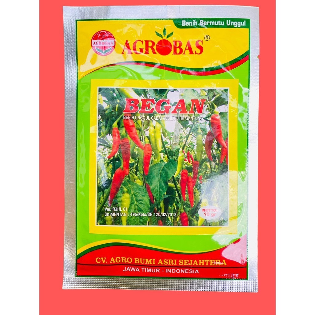 Benih unggul cabe kecil putih gantung BEGAN dari AGROBAS. isi 10gram