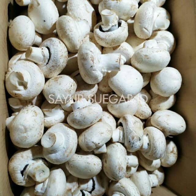 

Jamur Kancing (Champignon) / 250 gram
