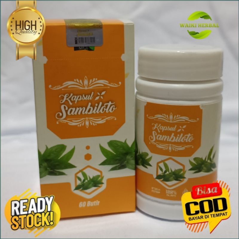 Kapsul Sambiloto Herbal Kapsul ekstrak daun sambiloto