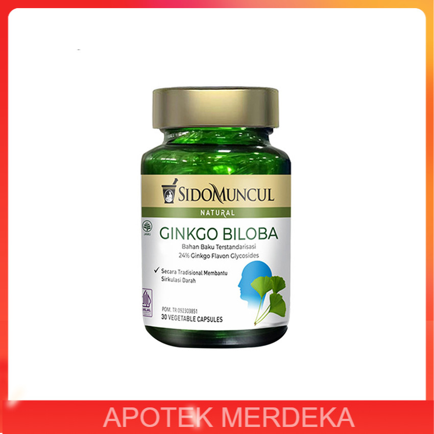 Sido Muncul Ginkgo Biloba 30 Kapsul / Ginkgo biloba sidomuncul