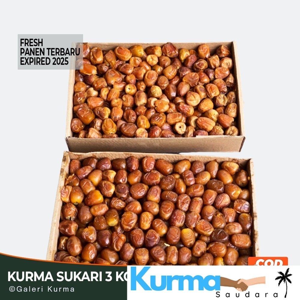 

Kurma Sukari 3 Kg / Kurma Basah Premium / Kurma Raja Sukari Al Qassim