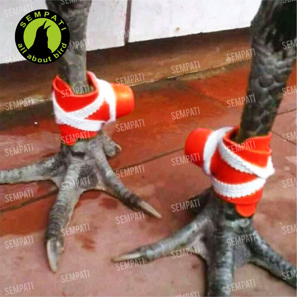 RK SEMPATI Bungkus Jalu Kaki Ayam Sempati Bungkus Jalu Ayam Laga Aduan Petarung Jantan Bangkok