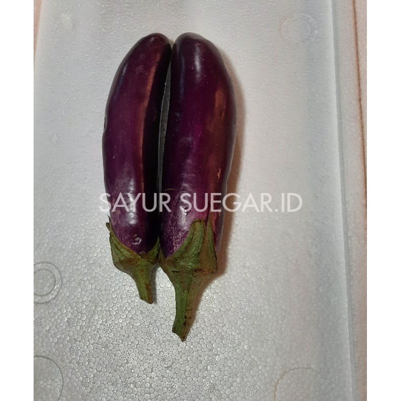 

Terong ungu 500 gram
