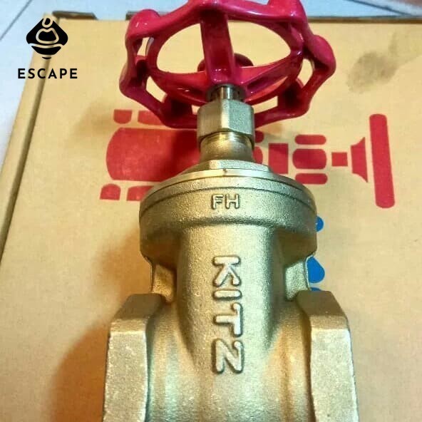 Gate Valve Kitz 2-1/2"
