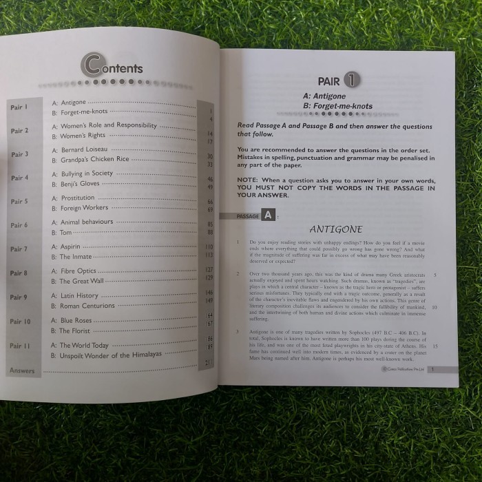 

O Level Dynamic English GCE O Lv English Language Comprehension Paper