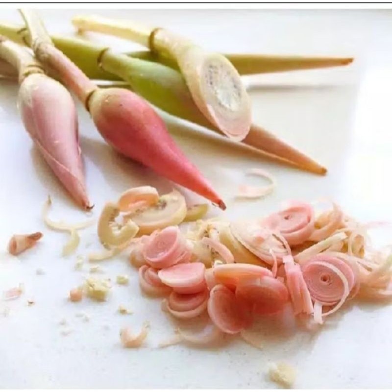 

promo kecombrag segar langsung di petik dari kebun honje/ rombeh murah /1 biji