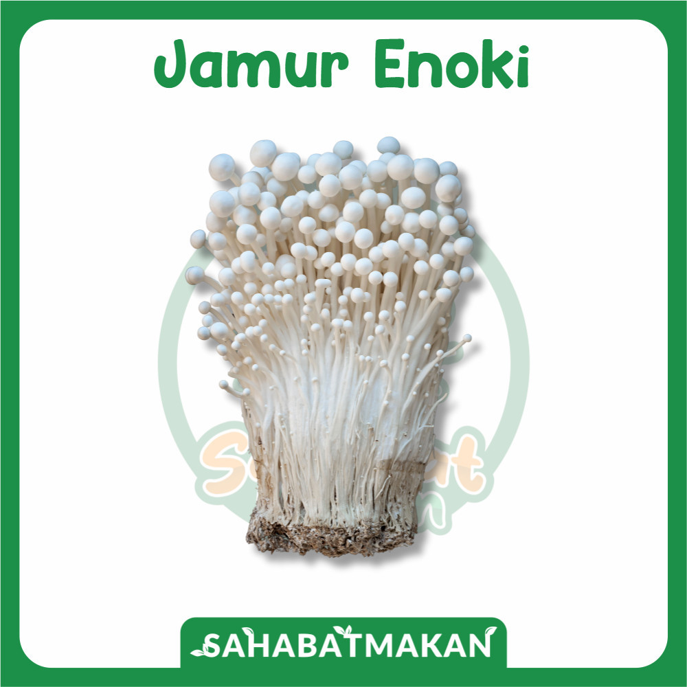 

Jamur Enoki — Daily Fresh Official Store
