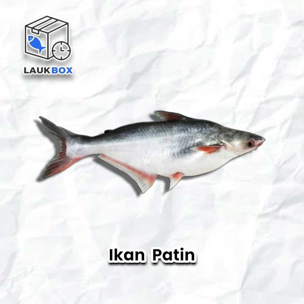 

Ikan Patin - SAYUR SEGAR MIMI PALEMBANG