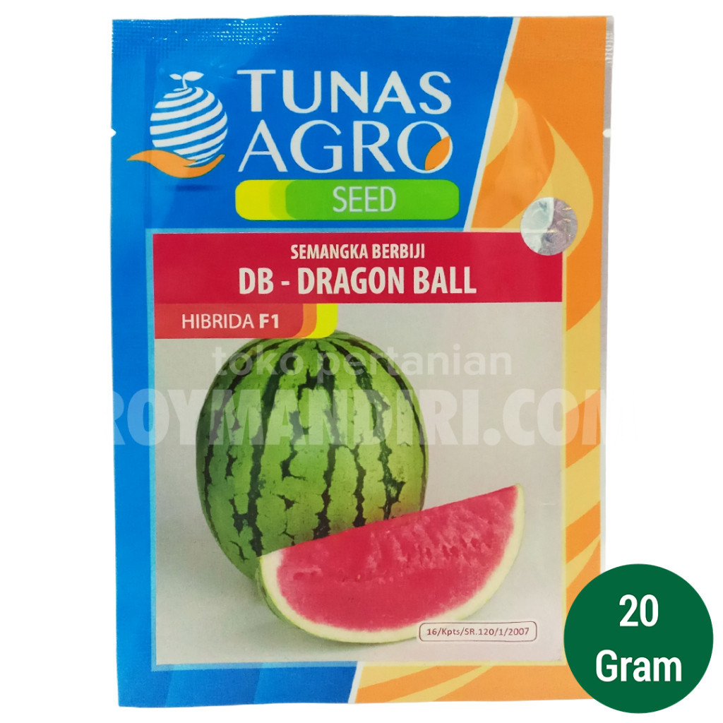 Benih Semangka Dragon Ball @20 gram