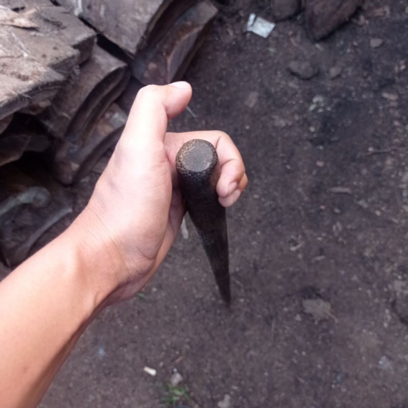 Tongkat jalan dari kayu ruyung aren