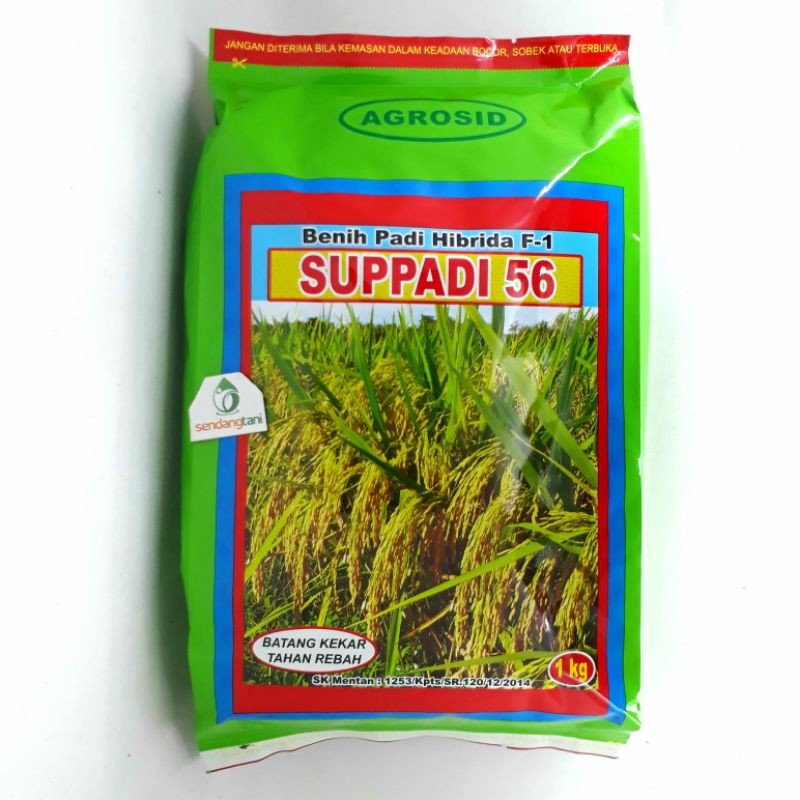 PROMO PESTA PANEN Benih Padi Supadi SUPPADI 56 Hibrida F1 Original Agrosid