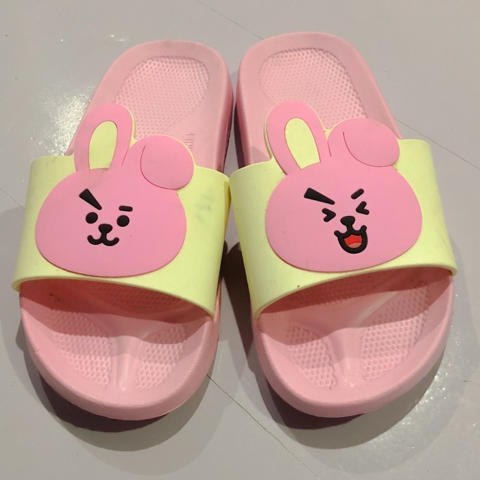 bts official merchandise || bt21 cooky slipper