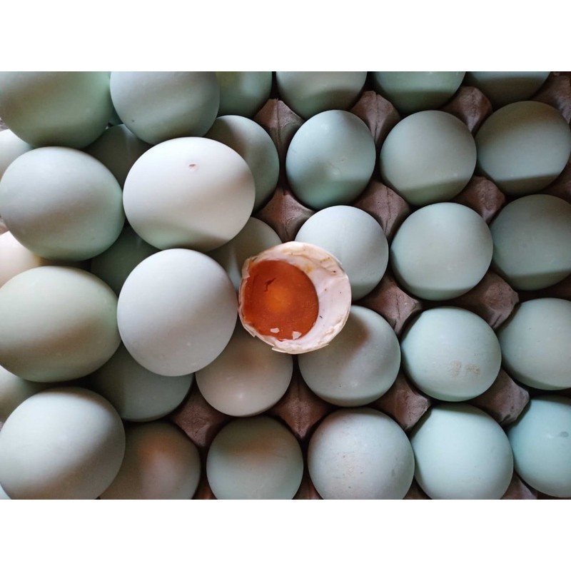 

Telur Asin Matang Ukuran Besar - Harga per 1pcs fresh