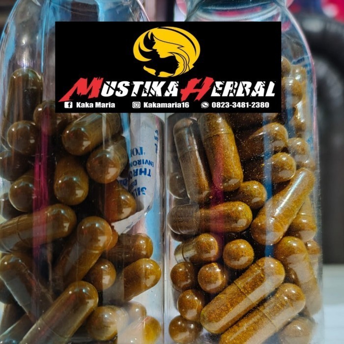 

Kapsul Biji Mahoni Kupas 100pcs Kemasan Cantik